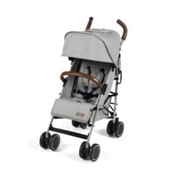 Ickle Bubba Discovery Pushchair Silver/Grey
