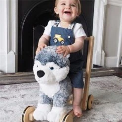 Little Bird Told Me Mishka Dog Push Along 12m+ -Baby Products Store little bird told me push along toys little bird told me mishka dog push along babys mart lb3087 14225554440328