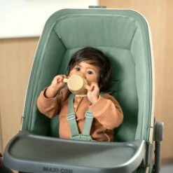 Maxi-Cosi Alba Meal Kit Beyond Graphite 11 Maxi-Cosi Alba Meal Kit Beyond Graphite -Baby Products Store maxi cosi cribs 38790733365469